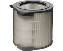 Electrolux EFDBTH4 Luchtreinigerfilter