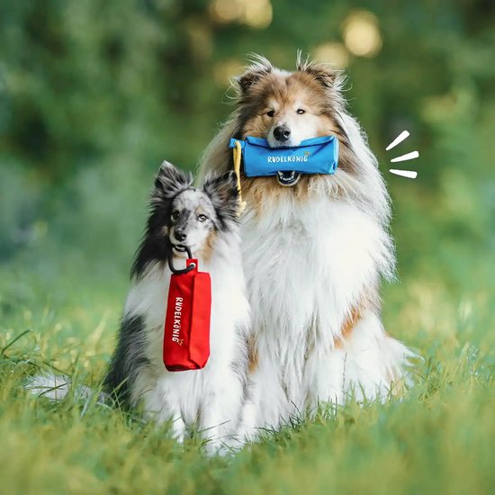 Jouets à rapporter Rudelkönig – Mannequin de dressage pour Chiens Futterdummy