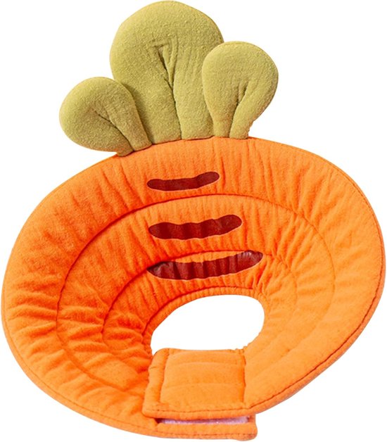 Hondenschoenen