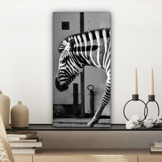 Peinture sur toile - Animaux sauvages - Zebra - Mur - Porte - Décoration murale - Toile - 20x40 cm - Tableau sur toile - Décoration de la maison