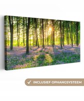 Schilderijen op Canvas Bloemen - Natuur - Bos - Zon - Paars - 160x80 cm - Foto op Canvas - Wanddecoratie