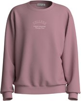 NAME IT - NKFVASACHA LS NREG SWEAT UNB - Meisjes - Sweaters