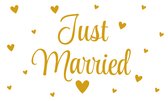 Q2P – Just Married Gevelvlag – 150×90 cm XXL – Huwelijk Versiering - Vlaggenlijn – Binnen & Buiten - Vlag