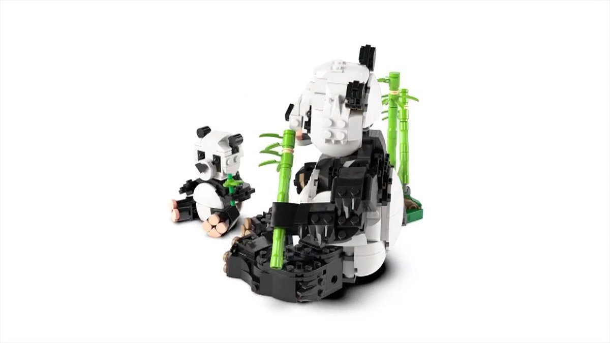 LEGO Creator 3in1 Wilde dieren: pandafamilie - 31165 — afbeelding 24