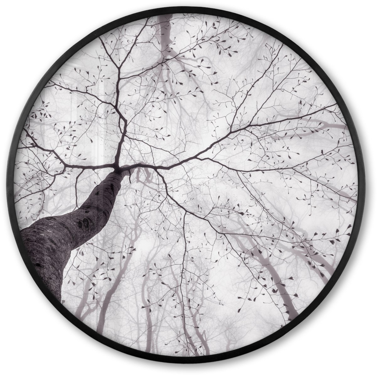 FrameYourWall Poster in lijst Rond - Fotolijst 60x60 cm - Posters - Boom - Takken - Bladeren - Mist - Ronde posterlijst zwart - Decoratie - Wanddecoratie woonkamer - Muurdecoratie slaapkamer