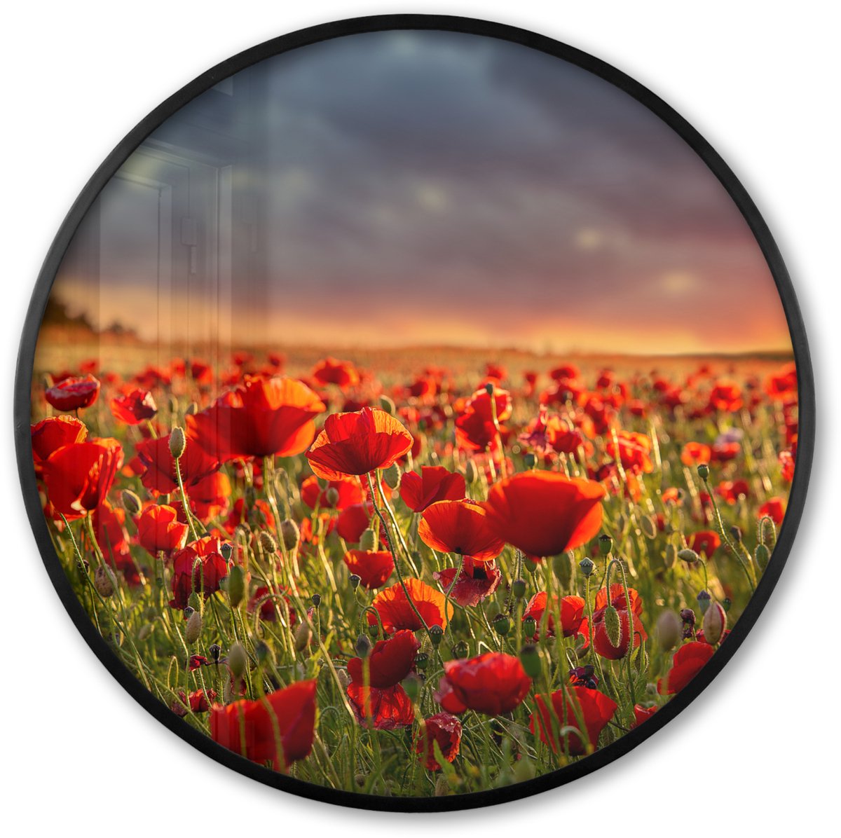 FrameYourWall Poster in lijst Rond - Fotolijst 60x60 cm - Posters - Zonsondergang - Klaprozen - Rood - Bloemen - Veld - Natuur - Ronde posterlijst zwart - Decoratie - Wanddecoratie woonkamer - Muurdecoratie slaapkamer
