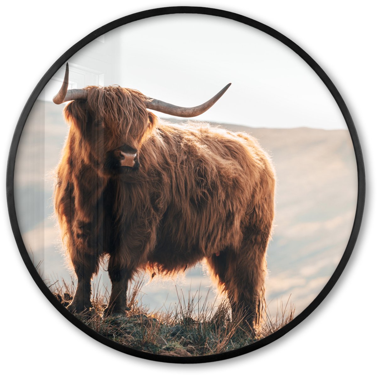 FrameYourWall Poster in lijst Rond - Fotolijst 80x80 cm - Posters - Schotse hooglander - Dieren - Landelijk - Landschap - Koe - Natuur - Ronde posterlijst zwart - Decoratie - Wanddecoratie woonkamer - Muurdecoratie slaapkamer Schotse Hooglander - Berg