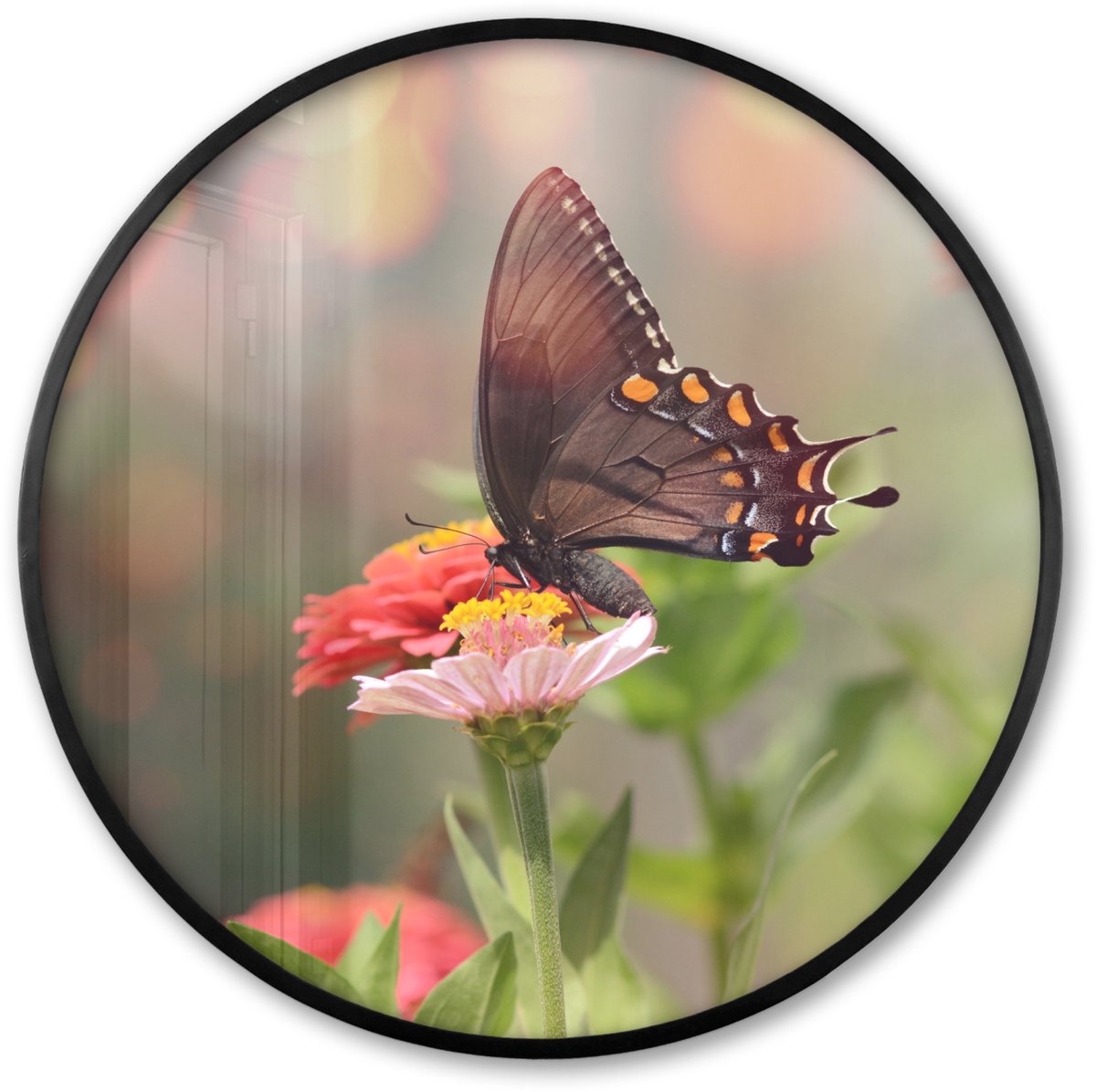 FrameYourWall Poster in lijst Rond - Fotolijst 60x60 cm - Posters - Bloemen - Vlinder - Natuur - Bloem - Ronde posterlijst zwart - Decoratie - Wanddecoratie woonkamer - Muurdecoratie slaapkamer