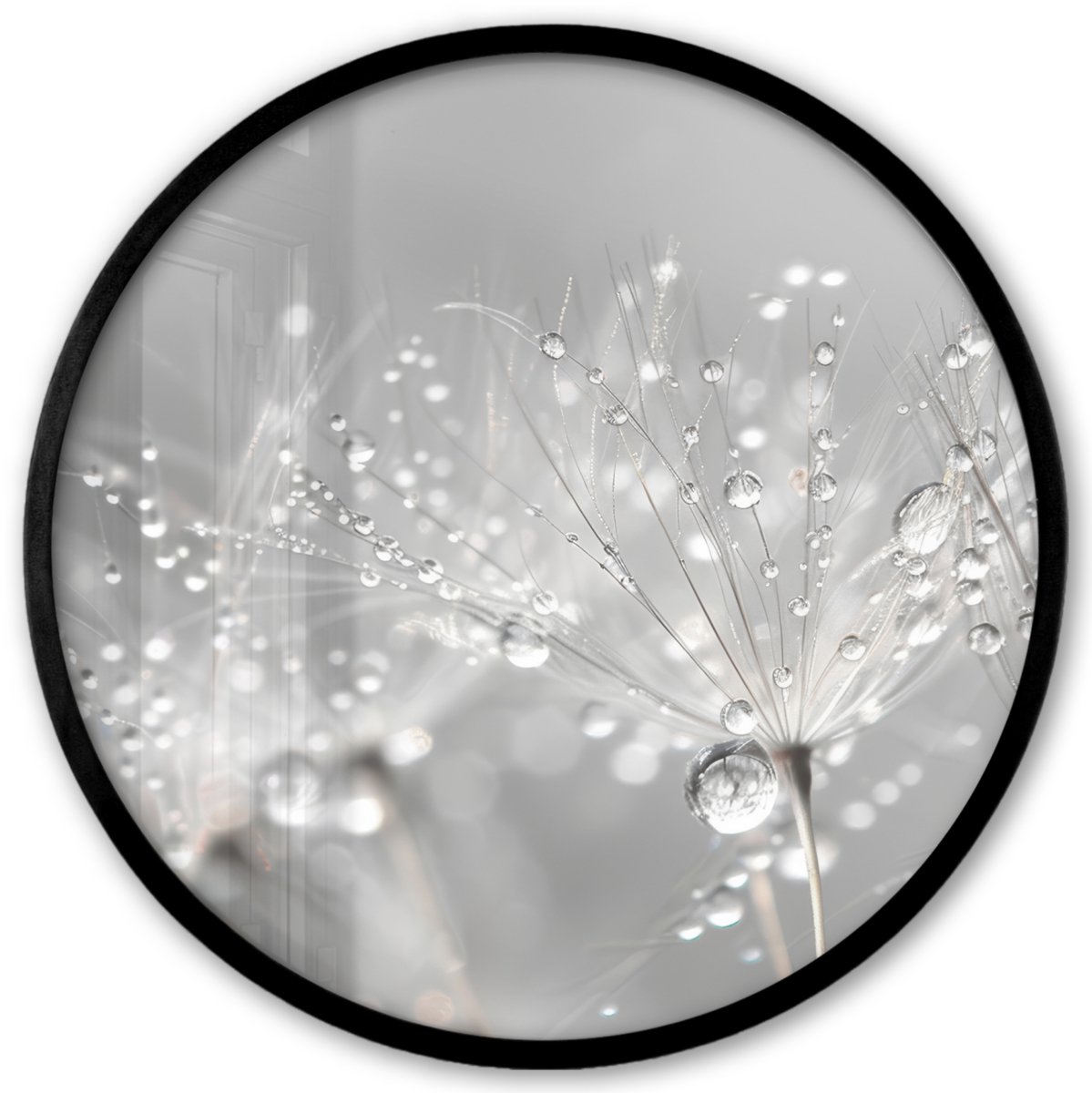 FrameYourWall Poster in lijst Rond - Fotolijst 40x40 cm - Posters - Paardenbloem - Waterdruppels - Stilleven - Modern - Ronde posterlijst zwart - Decoratie - Wanddecoratie woonkamer - Muurdecoratie slaapkamer