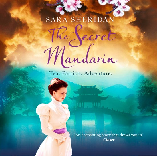 The Secret Mandarin - cover