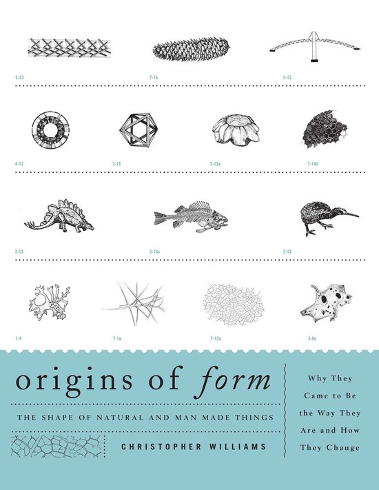 Origins of Form - cover