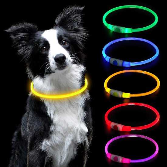 Led Light Up Hondenhalsband en Lijn voor Nachtelijke Wandelen Glow in The Dark Hondenriemen en Halsbanden Set Waterdicht Oplaadbaar