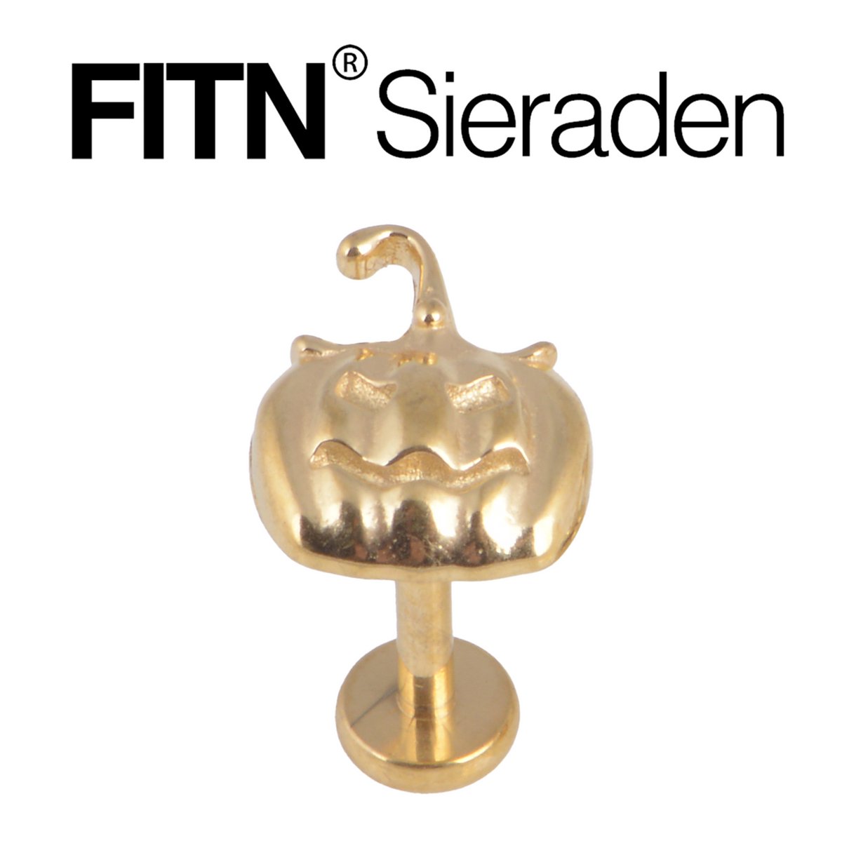 FITN-STHT-316L Oorpiercing-Goud Kleurige-1.2*8mm-Halloween Pompoen Oorbellen - 316L