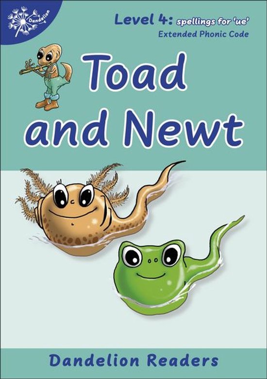 Phonic Books Beginner Decodable Readers 4 - Phonic Books Dandelion Readers Vowel Spellings Level 4