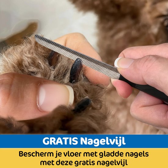 Een hand vijlt de nagels van een bruine hond. Tekst: Gratis nagelvijl, bescherm je vloer met gladde nagels.