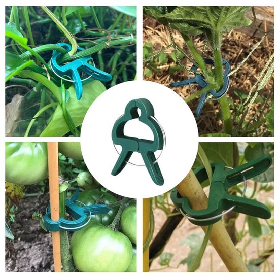 50 stuks - Tuinclips - Tomatenplantclips - Kunststofclips - Tuingereedschap Plantclips - Klein formaat - Groen van Merkloos	 — afbeelding 4