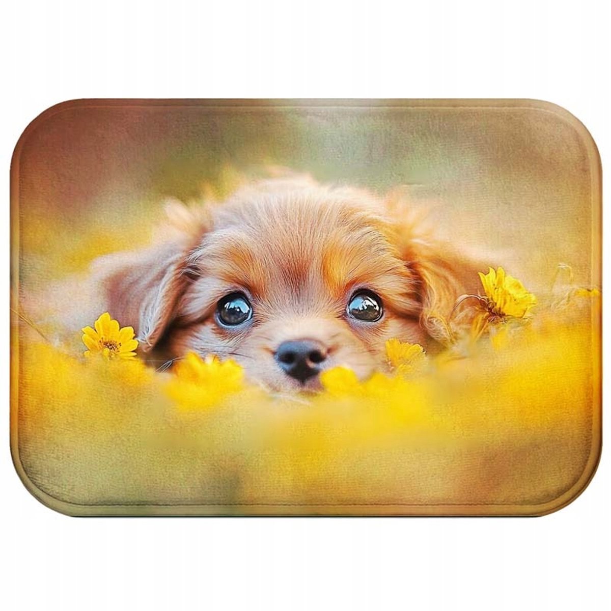 Zachte Antislip Badmat 60x40cm - Sneldrogend & Wasbaar