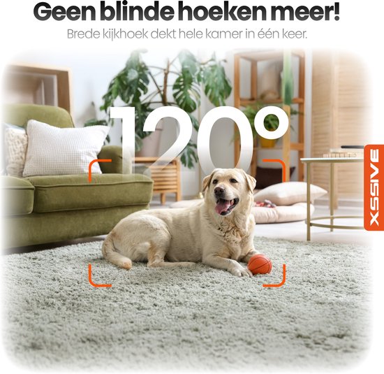 Xssive - WiFi Camera - Binnen Camera met Belfunctie, Scherm en App - IP Camera met Videobellen - Ideaal als Senioren Camera, Babyfoon & Huisdiercamera (Hondencamera) - Full HD - Pan-Tilt - Draaibaar 360 Graden - Nachtzicht - Zonder Abonnement van Xssive — afbeelding 3