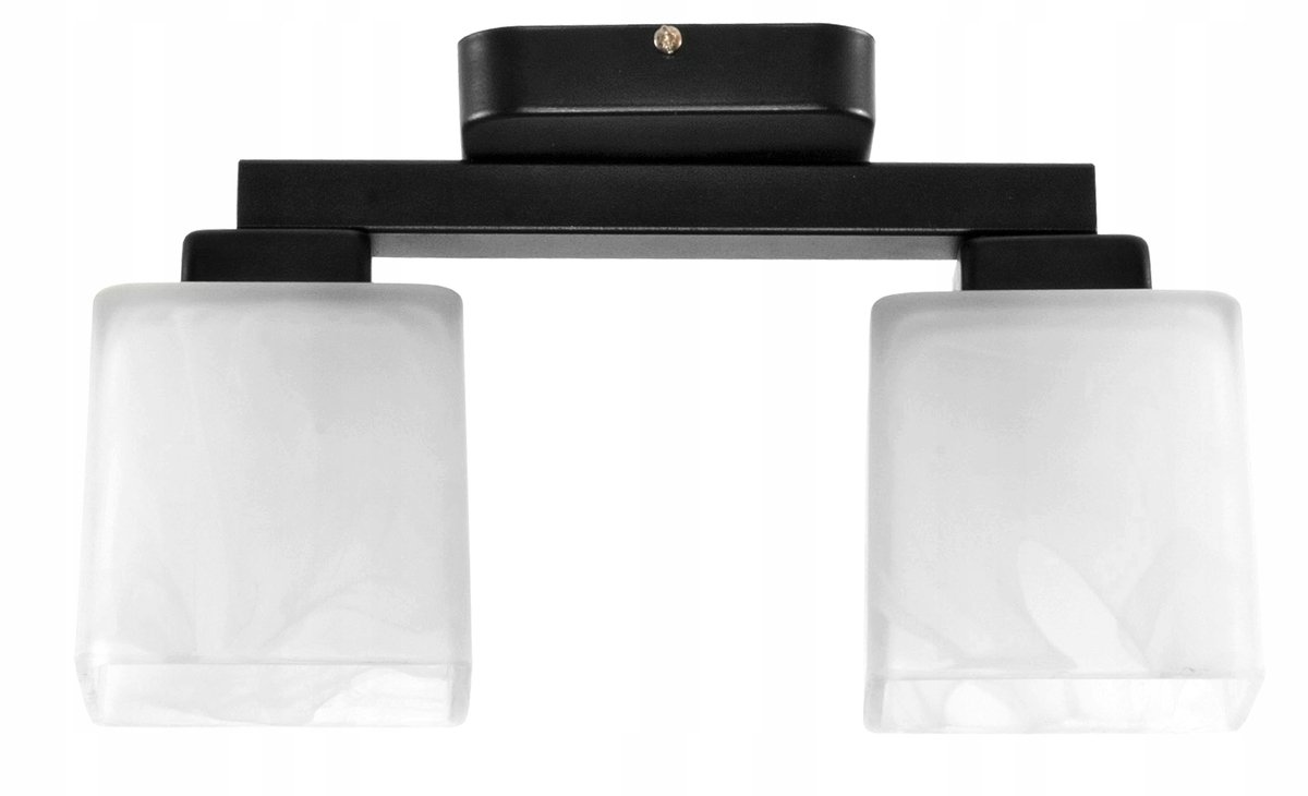 Stijlvolle Loft Plafondlamp met 2xE27 Fitting - Chroom Metaal