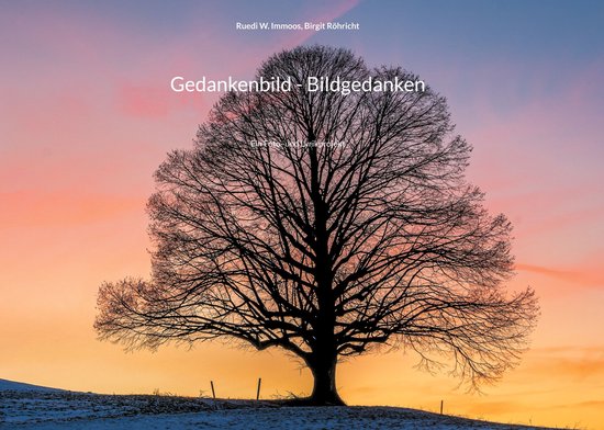 Gedankenbild - Bildgedanken - cover
