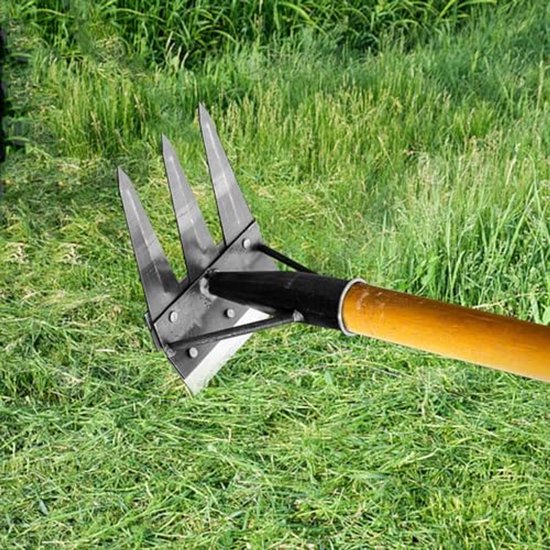 Onkruidhark met 2 tot 7 Tanden van Koolstofstaal - Handgereedschap voor Tuinonderhoud van Merkloos	 — afbeelding 3