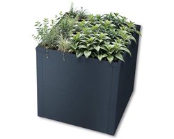 Verhoogde Plantenbak voor Tuin en Balkon - Weerbestendig Metalen Plantenbed 50 x 50 x 50 cm