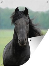 Affiche de jardin Frison - Cheval - Herbe - 90x120 cm