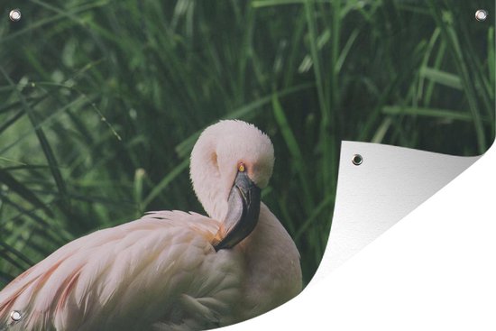 Tuinposter - Tuindoek - Tuinposters buiten - Een flamingo staat tussen het gras - 120x80 cm - Tuin