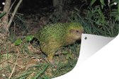 Muurdecoratie Kakapo in het gras - 180x120 cm - Tuinposter - Tuindoek - Buitenposter