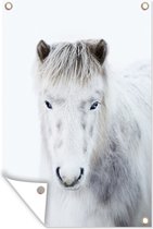 Muurdecoratie Paard - Sneeuw - Wit - 120x180 cm - Tuinposter - Tuindoek - Buitenposter