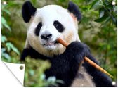 Tuinposter - Tuindoek - Tuinposters buiten - Panda - Bamboe - Bladeren - 120x90 cm - Tuin