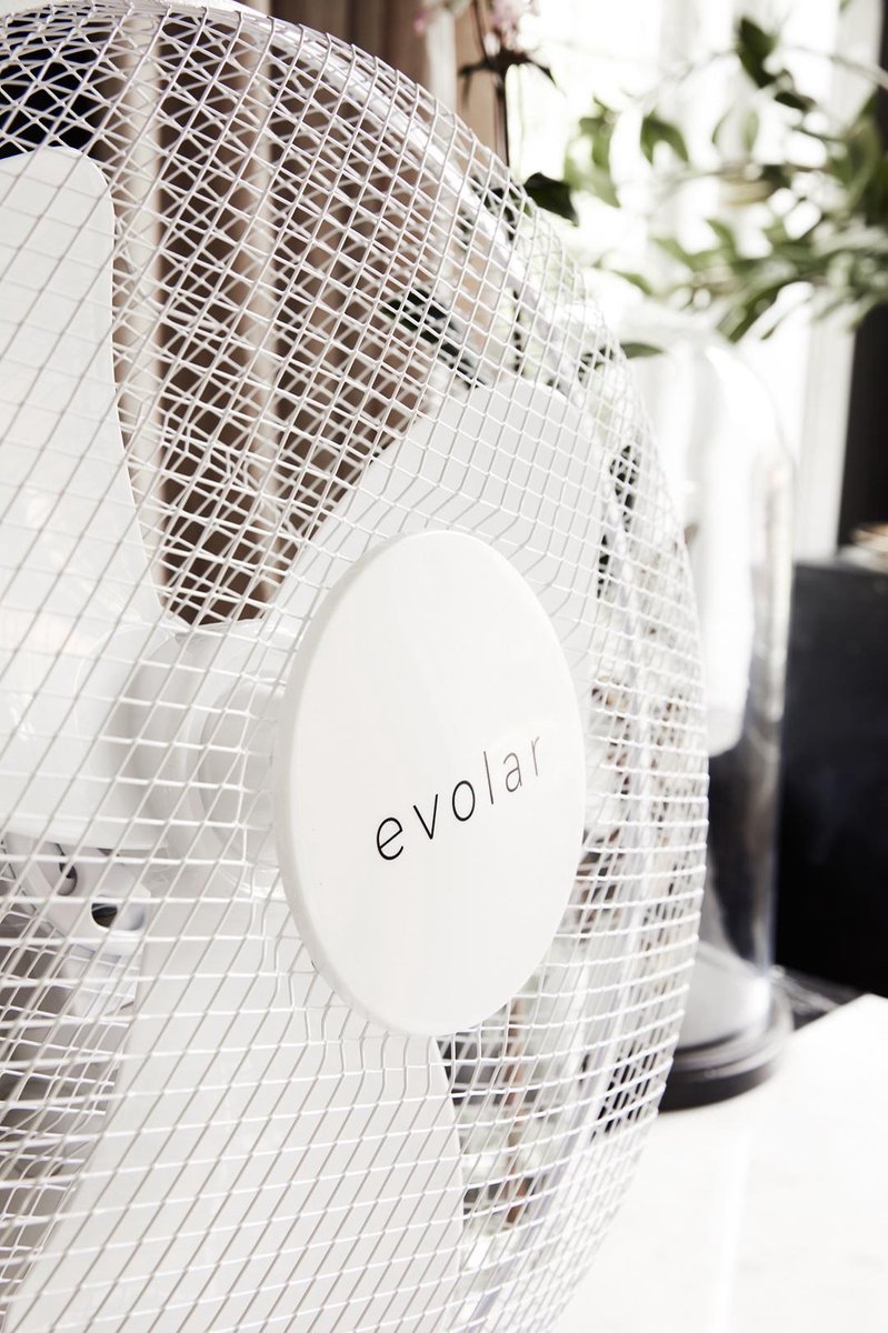 Evolar Tafelventilator 40 cm / 16 Inch - Ventilator 40W - 3 Standen - Rotatiefunctie - Tafel Ventilator - EVO-16T thumbnail 8