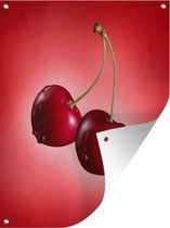 Deux cerises aux gouttes d'eau sur un fond aux nuances de rouge. Affiche d'extérieur 60x80 cm - Toile de jardin / Toile d'extérieur / Peintures d'extérieur (décoration de jardin)