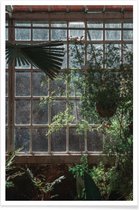 JUNIQE - Poster The Tropical Glasshouse -20x30 /Groen