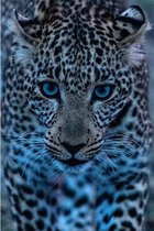 Canvas Schilderij Leopard
