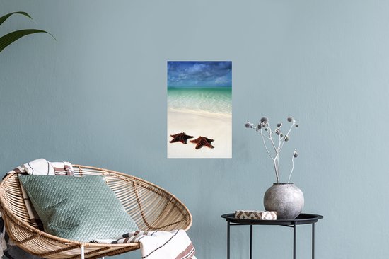 Sticker Muursticker Étoile de mer - Deux grandes étoiles de mer se trouvent sur la côte de Cuba - 20x30 cm - Film adhésif autocollant - Sticker mural repositionnable
