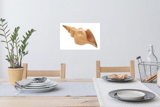 Sticker Muursticker Coquillages - Coquille d'escargot de mer - 30x20 cm - Film adhésif autocollant - Sticker mural repositionnable