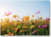 Bloemen in veld met zonsondergang - 120 Stukjes puzzel voor volwassenen - Natuur - Bloemen