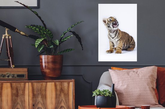 Sticker Muursticker Tigre sur fond blanc - Tigre avec gueule ouverte sur fond blanc - 40x60 cm - Film adhésif autocollant - Sticker mural repositionnable