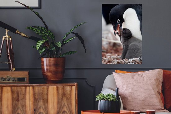 Muursticker Manchot Adélie - Nourrir Manchot Adélie - 40x60 cm - film adhésif autocollant - sticker mural repositionnable