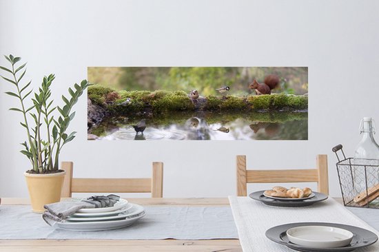 Sticker Muursticker Forest life - Animaux de la forêt près de la piscine - 90x30 cm - film autocollant - sticker mural repositionnable