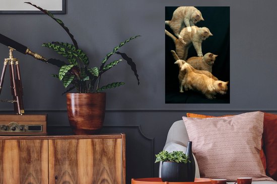 Stickers muraux - Chat qui saute - 40x60 cm - Film adhésif