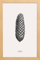 JUNIQE - Poster in houten lijst Pine Cone III -40x60 /Grijs & Ivoor