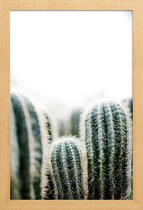 JUNIQE - Poster in houten lijst Cactus 1 -20x30 /Groen & Wit