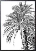Poster Met Zwarte Lijst - Oman de Palm Poster