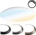 Ovale witte plafondlamp met verstelbare kleurtemperatuur. Drie opties voor de randkleur: zwart, metaalgrijs en brons.