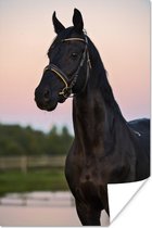 Zwart paard tijdens zonsondergang poster papier 40x60 cm - Foto print op Poster (wanddecoratie woonkamer / slaapkamer) / Wilde dieren Poster