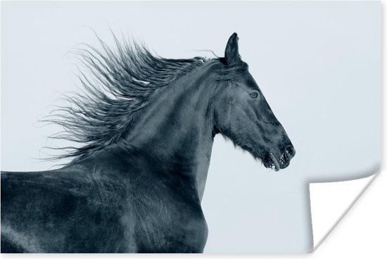 Poster Paard - Fries - Wind - 30x20 cm
