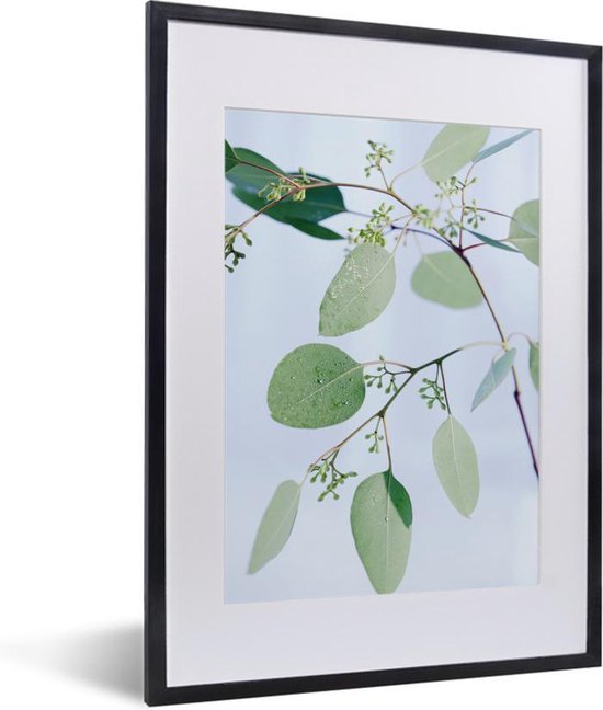 Fotolijst incl. Poster - Eucalyptustakken met bladeren - 30x40 cm - Posterlijst