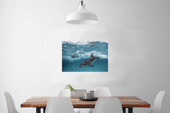 Affiche Dauphin - Water - Mer - 60x40 cm